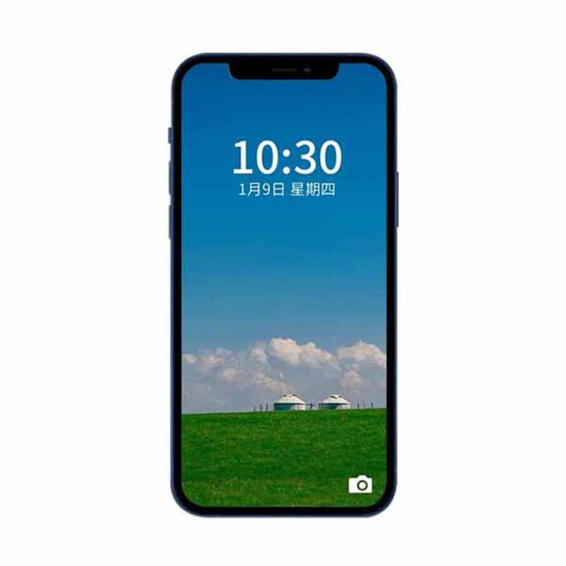 CASE (3)